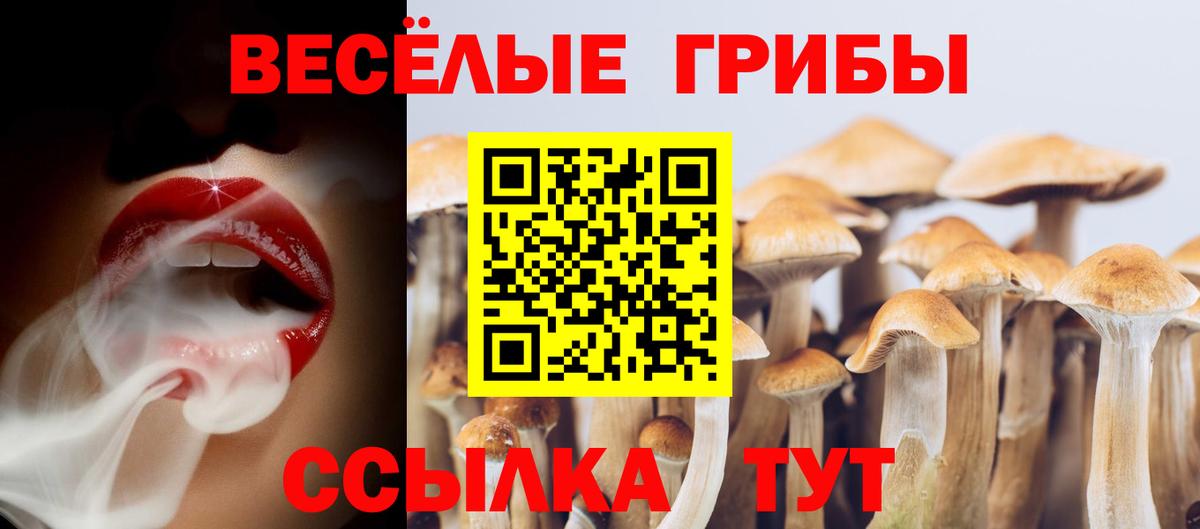 Галлюциногенные грибы Magic Shrooms Кемерово